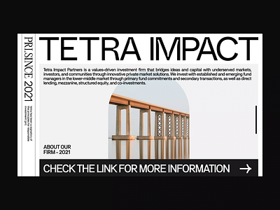 TETRA IMPACT adobexd branding brutal clean concept creative dailyui design flat graphic design landing page minimalism product design typography ui ux web webdesign website webui