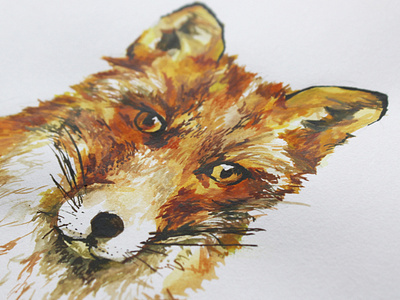 Fox Headshot animals colour design detail fox fur graphicdesign illustration nature nature art photography watercolor watercolor painting watercolour wildlife