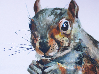 Grey squirrel detail colour creativity design detail fur graphicdesign grey handdrawn handpainted illustration nature photography squirrel squirrel logo texture watercolor watercolour illustration watercolour painting wild animals wildlife