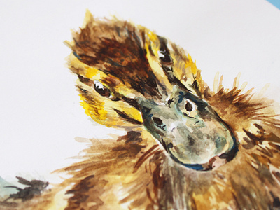 Duckling illustration detail animals creativity design detail duck logo duckling feather floating gouache graphicdesign illustration imagination nature photography texture water watercolor watercolour painting wave wildlife