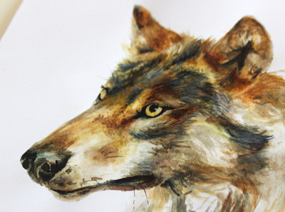 Wolf illustration brushstrokes creativity design detail gouache graphicdesign illustration nature painting photography watercolor watercolour illustration wild animal wilderness wildlife wolf wolf logo