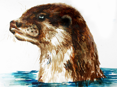 Otter Illustration animal illustration creativity design gouache graphicdesign headshot illustration imagination narrative nature otter otter logo otters photography water watercolor waterfall whiskers wildlife