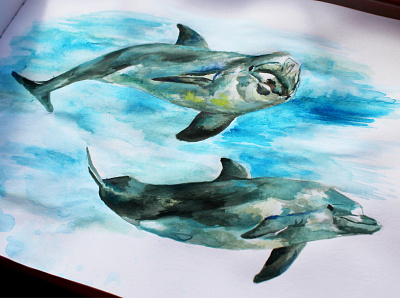 Dolphin Illustration blending colour creativity design dolphin dolphin logo dolphins gouache graphicdesign illustration nature ocean paper papercraft sea technique watercolor watercolour illustration watercolour painting wildlife