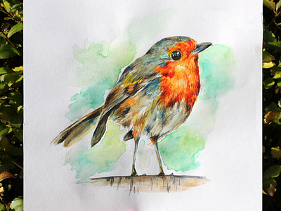 Rosy Robin bird bird logo creativity design gouache graphicdesign illustration nature photography robin texture watercolor watercolour illustration wildlife