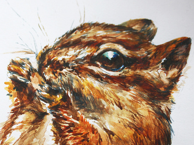 Chipmunk Zoom in chipmunk creativity design fur graphicdesign illustration small animal texture watercolor whiskers wildlife woodland woodland creature woodlands zoom zoom in