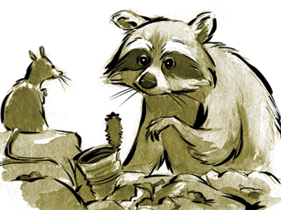 R is for Raccoon garbage raccon rat rubbish