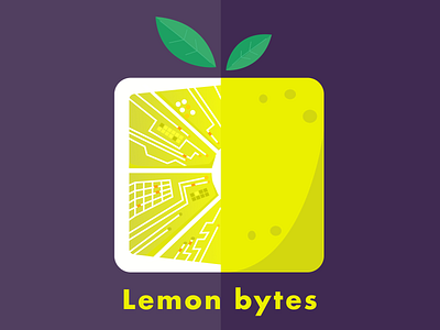 Lemon bytes