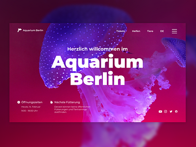 Aquarium Berlin ui