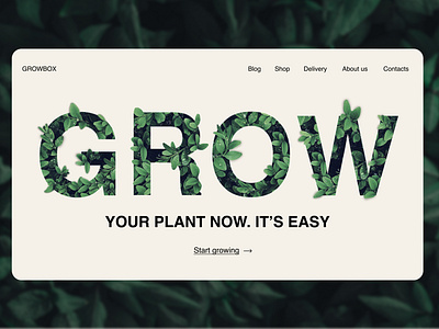 Growbox