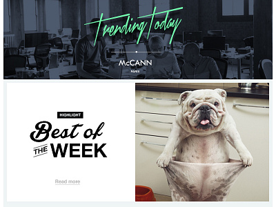 McCann Newsletter ( header ) newsletter