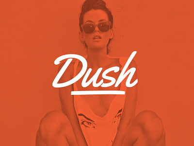 Dush logo logo logotype visual identity wip