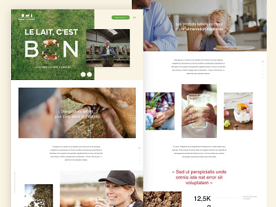 Promotional website for French Milk organisation artdirector redesign webdesign