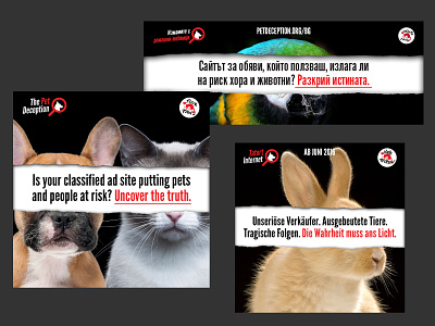 Four Paws - The Pet Deception Campaign (Social) animal animal rights animal welfare multi language posts social media social media design