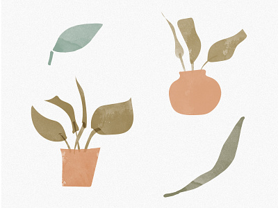 Soul Food - WIP Illustrations branding flowers foliage green illustration leaves vases