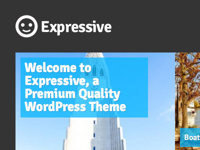 Expressive logo photo wordpress