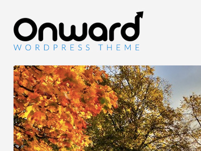 Onward wordpress theme photography logo