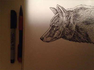 Dog coyote dog illustration ink