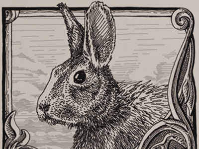 Jack Rabbit bunny design hearts illustration ink jack playing cards rabbit