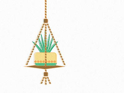 Plant Hanger hanger illustration plant succulent succulents