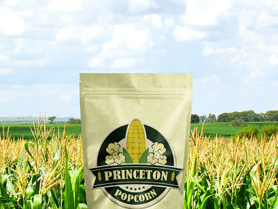 Princeton PopCorn branding design illustration logo photoshop