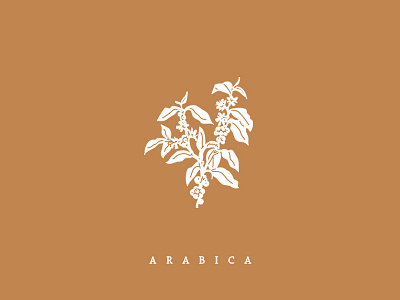 Arabica arabica bean botanical cafe coffee farming icon illustration plant
