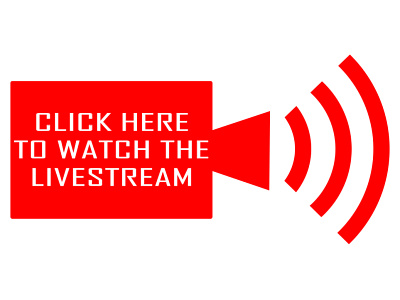 LiveStream Logo