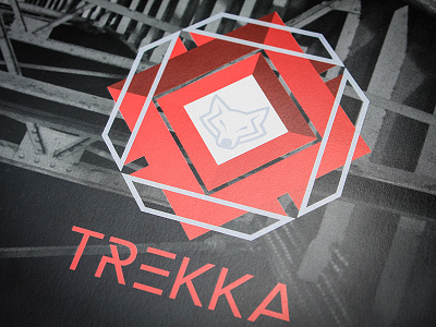 TREKKA Branding branding graphic design print design