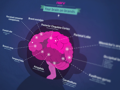 Your Brain on Brands brain brands design illustration infographic mind thinking