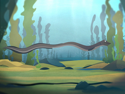 Mysterious Eel animation eel endangered species european eel life cycle nature ocean sea