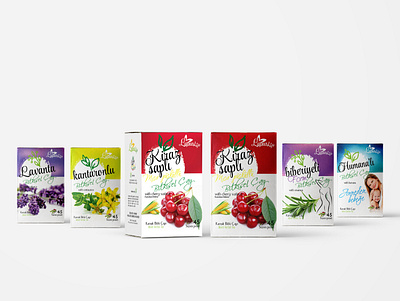Herbal tea packaging design drawing herbal herbaltea home natural packing packing design tea vector