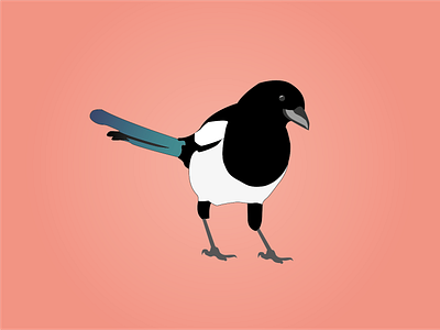 Day 23 - Magpie 100daychallenge design illustration magpie vector