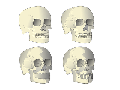 Day 34 - 37 Skull in Progress 100daychallenge before after before and after bone design gothic gradient illustration macabre progress skeleton skull skulls vector