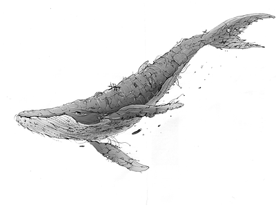 Whale character design concept art earth enviroment illustraion