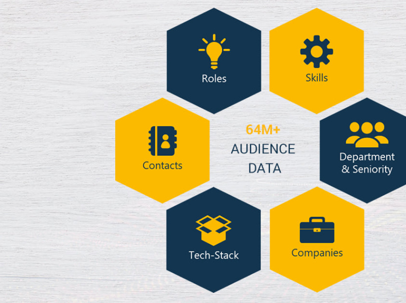 Audience Data and how it helps Marketing by Binary Demand on Dribbble