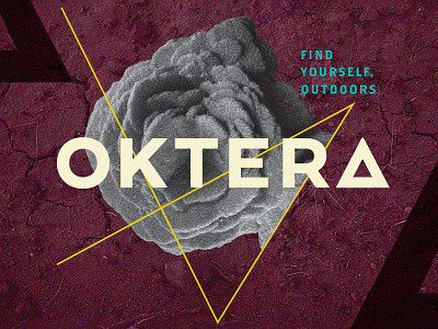Oktera Art branding logo outdoor rose rock terrain
