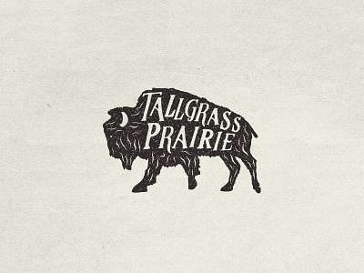 Tallgrass Prairie apparel buffalo illustration merch design oklahoma tulsa typography