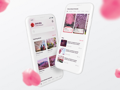 SAKURA Cherry Blossom App design app appdesgn ui uiux ux