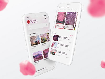 SAKURA Cherry Blossom App design