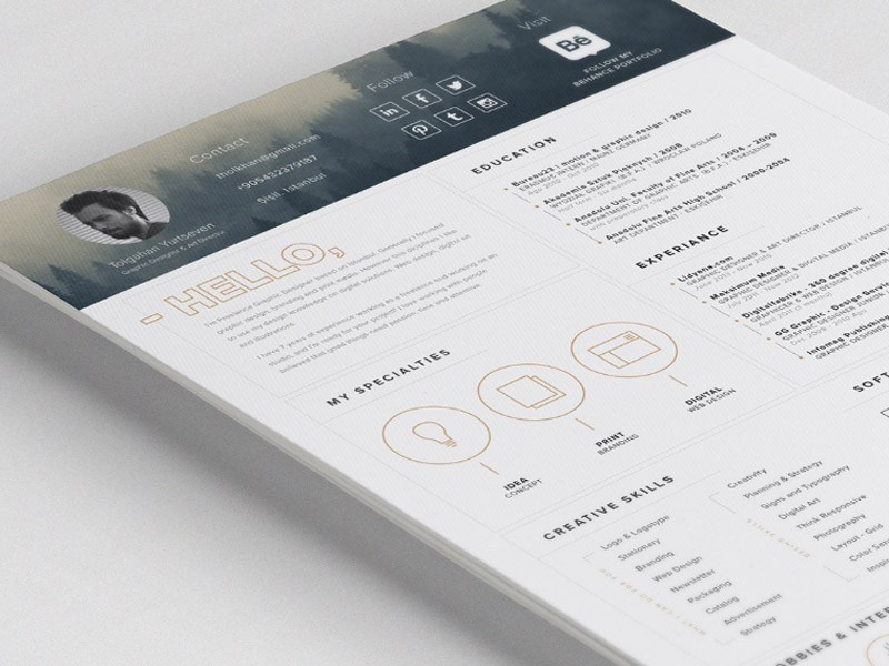 free-impressive-resume-template-with-icon-set-by-bobby-on-dribbble