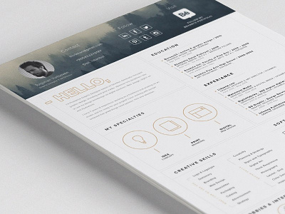 Free Impressive Resume Template with Icon Set cv cv resume cv template free cv template free resume free resume template freebie freebies job resume