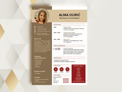 Resume apply colors cv cv design design font graphic design job lines page layout picture resume design resume template selection