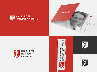 Hamburg Hernia Centre Logo Concept anchor brand brand agency brand design brand identity branding design identity logo medical medical design medicine