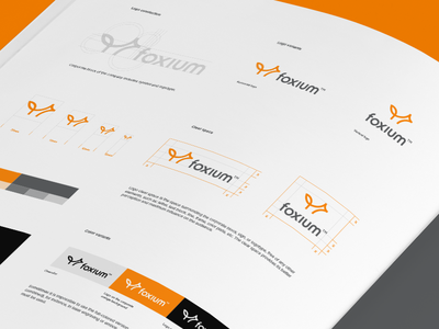 Guideline brand brandbook design grid guideline identity logo process