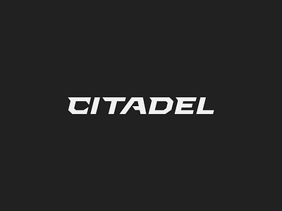 Citadel app brand citadel design font lettering logo type weapon