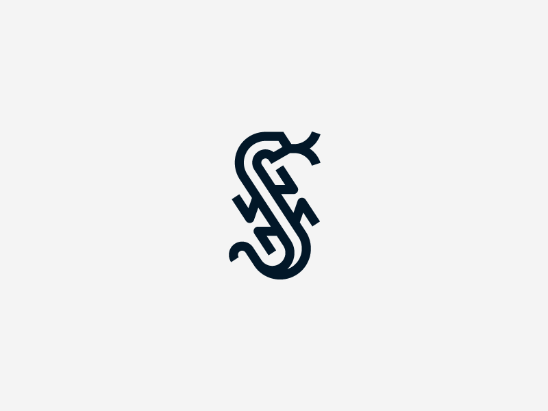 Lizard by VORONOI on Dribbble