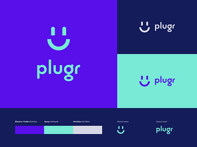 Plugr