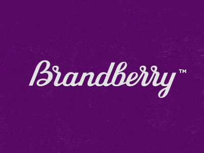 Brandberry berry brand brandberry custom font lettering logo type