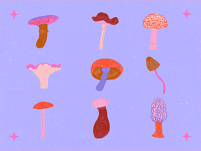 Mushroom Hunting branding design editorial flat food illustration vector