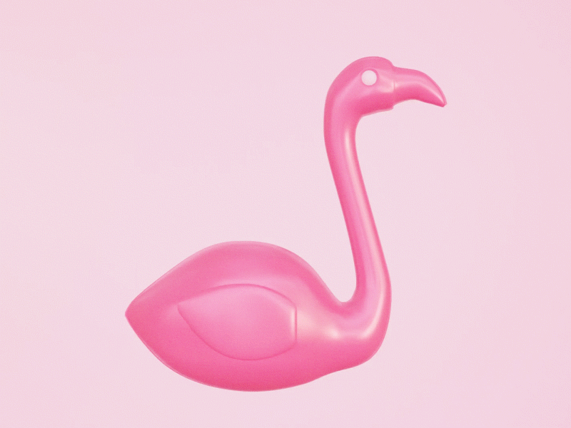 Day 1 - "Plastic Flamingo" - Stay at Home Challenge blender