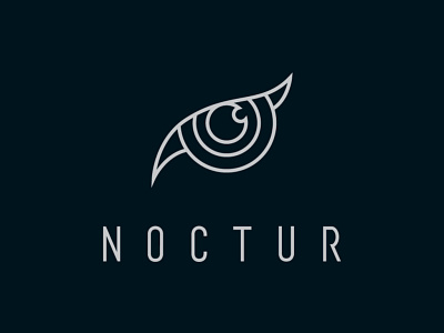 Noctur Logo design illustration logo vector